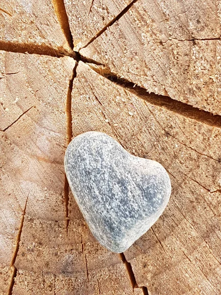 砕けた木の幹の灰色の石の心 — ストック写真