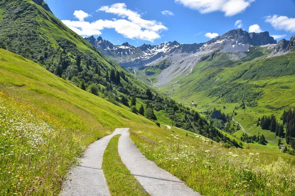 Country Road Hiking Trail Wildflower Meadow View Gafiertal Valley Antonien — Stock Photo, Image