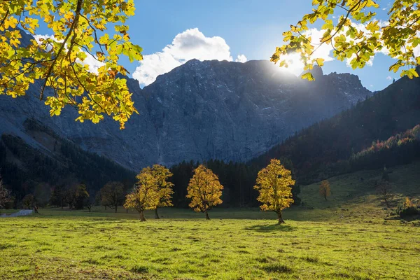 Goldene Ahornbäume Wanderziel Ahornboden Österreich Herbst — Stockfoto
