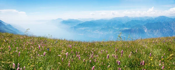ピンクのビストルト モンテ バルド山とガルダ湖の景色 イタリアと野花の牧草地 — ストック写真