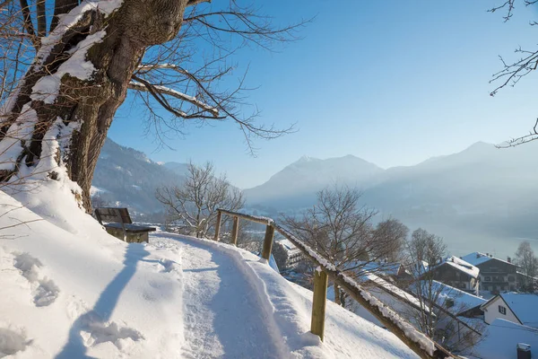 Promenad Till Weinberg Kullen Schliersee Turistort Vintern Bayerska Landskapet Bänk — Stockfoto