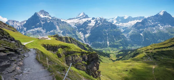 Deslumbrante Paisagem Montanhosa Suíça Caminho Para Caminhadas Grindelwald Primeiro Longo — Fotografia de Stock