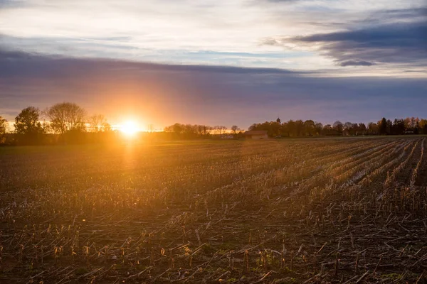 Autumnal Moody Scenery Harvested Maize Field Sunset Rural Landscape Bavaria — Stock Photo, Image