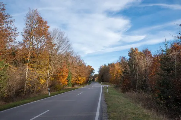 Одинокая Сельская Дорога Через Осенний Лес Сезонные Цвета — стоковое фото