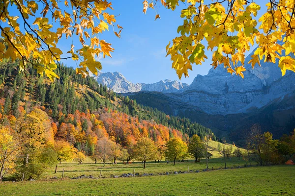 Malerische Herbstliche Landschaft Karwendeltal Eng Äste Mit Ahornblättern — Stockfoto