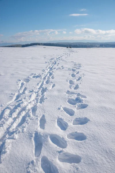 Ślady Stóp Śnieżnym Zimowym Krajobrazie Pasmo Górskie Horyzoncie Górna Bawaria — Zdjęcie stockowe