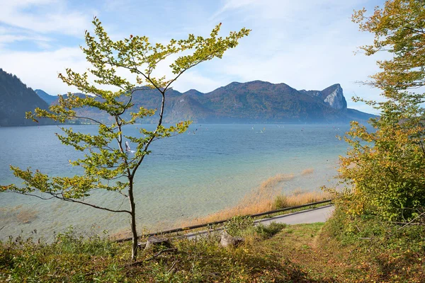 Widok Piękne Jezioro Mondsee Salzkammergut Jesiennym Krajobrazie Austria Nad Przydrożnym — Zdjęcie stockowe