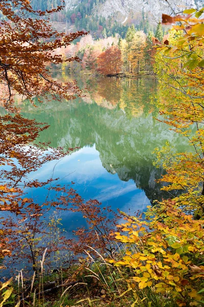 Atemberaubende Herbstlandschaft Laudachsee Mit Wasserspiegelung Grunberg Mit Bunten Bäumen Salzkammergut — Stockfoto