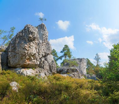 Kayalık kuvars formasyonu Grosser Pfahl, Viechtach yakınlarında coğrafya, Bavyera ormanı. Doğa koruma alanında yürüyüş yolu.