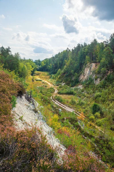 Doğa Grosser Pfahl Koruyor Viechtach Yakınlarında Bavyera Ormanında Taş Ocağının — Stok fotoğraf