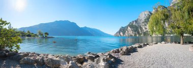 Spiaggia Riva del Garda banyo plajı ve söğüt ağacı, Gardasee Gölü, dağ manzarası. Turizm merkezi İtalya
