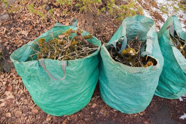 Kesik yosunlu dallarla dolu iki yeşil torba, bahçe atığı öğütücüye hazır. Sonbahar ve kışın mevsimlik işler