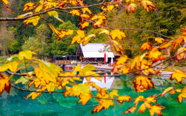 Гарне Озеро Гірське Озеро Fusine Восени Mangart Гори Задньому Плані — стокове фото
