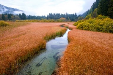 Sonbaharın güzel göl Zelenci arka planda Martuljek dağ Triglav Ulusal Parkı Slovenya, Europe, Kranjska Gora yakınındaki renkler.