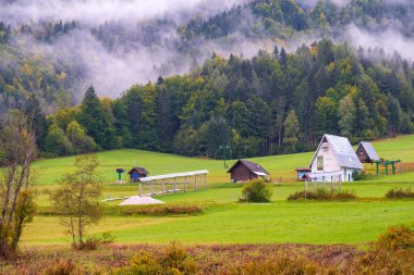 Güzel sonbahar renkleri içinde belgili tanımlık geçmiş Martuljek dağ gölü Zelenci, Slovenya, Europe Triglav Ulusal Park'ta Kranjska Gora yakınındaki