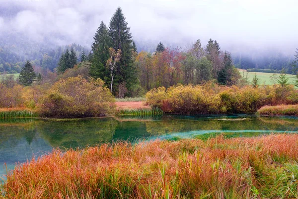 Hermoso Lago Zelenci Los Colores Otoño Fondo Montaña Martuljek Cerca —  Fotos de Stock