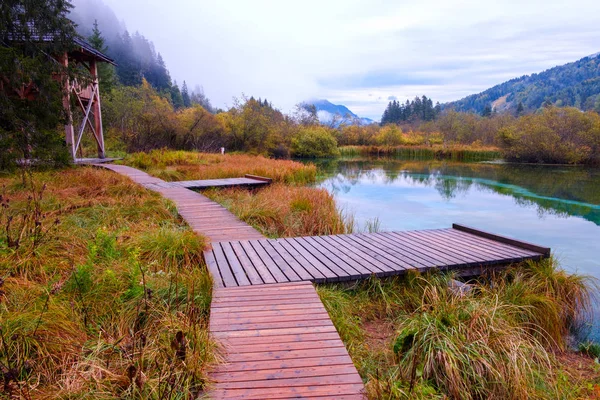 Beau Lac Zelenci Dans Les Couleurs Automne Arrière Plan Montagne — Photo