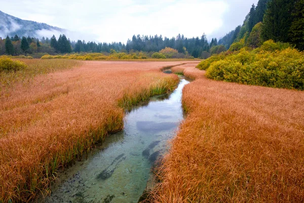 Hermoso Lago Zelenci Los Colores Otoño Fondo Montaña Martuljek Cerca Imagen de archivo