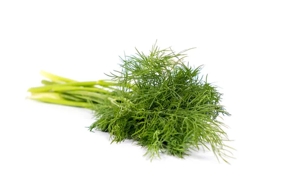 Friska Gröna Dill Vit Bakgrund — Stockfoto