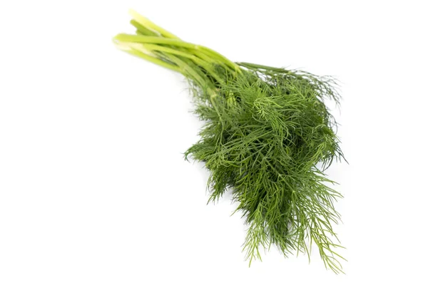 Friska Gröna Dill Vit Bakgrund — Stockfoto