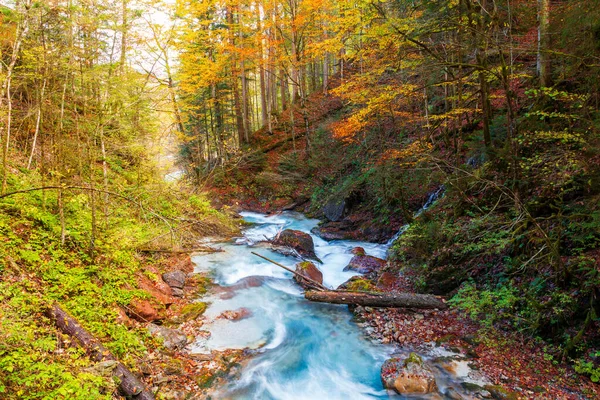 秋の色で木製のパスを持つ美しいWimbachklamm峡谷 ドイツのRamsau Bei Berchtesgaden — ストック写真