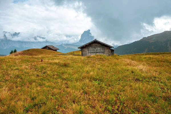 Dağ çayırı ve Gardena Vadisi ve Seceda Tepesi 'ndeki evler, arka plan Alpe di Siusi veya Seiser Alm ile Bolzano, Güney Tyrol ile birlikte İtalya, Avrupa' daki Dolomitler 'de