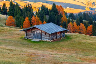 Dağ çayırı ve ahşap ev Alpe di Siusi veya Seiser Alm Langkofel dağ sıralarında Bolzano ili ile, Güney Tyrol Dolomitler, İtalya, Avrupa