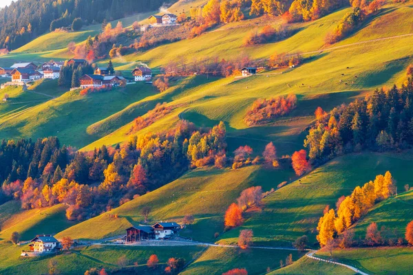 Schöne Herbstfärbung Hang Des Dorfes Santa Maddalena Der Nähe Der — Stockfoto