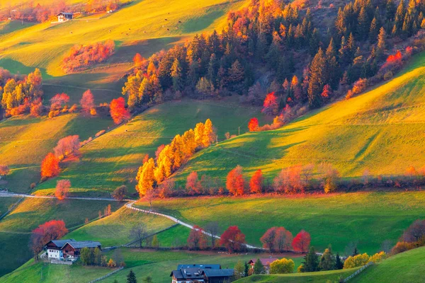 Hermosos Colores Otoño Ladera Pueblo Santa Maddalena Cerca Las Montañas —  Fotos de Stock