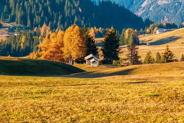 山の牧草地や木造住宅アルプ シウシやイタリア ヨーロッパのドロミテの南チロル州とランコフェル山脈のセイザー アルム — ストック写真