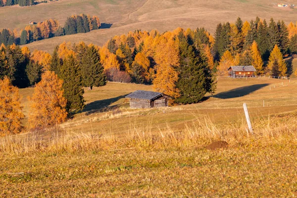 Prado Montanha Casa Madeira Alpe Siusi Seiser Alm Cordilheira Langkofel — Fotografia de Stock