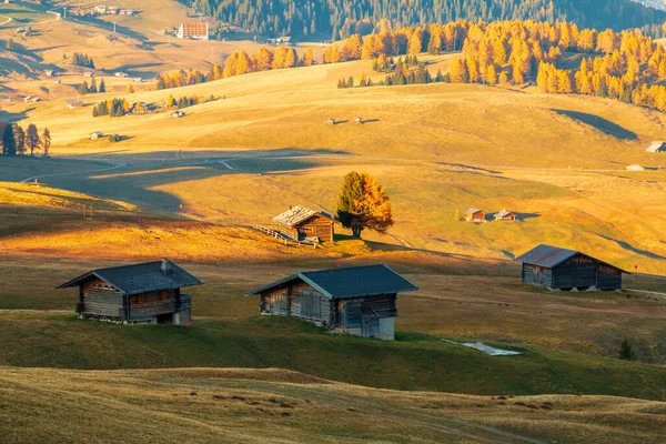 Mountain meadow and wood house Alpe di Siusi or Seiser Alm in the Langkofel mountain range with Province of Bolzano, South Tyrol in Dolomites in Italy,Europe
