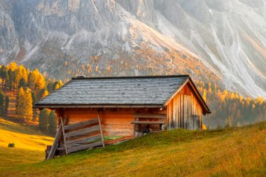 Dolomitlerdeki Seceda Dağları 'nın arka planında, Odle Dağları' nın eteklerinde güzel sonbahar renkleri, Trentino Alto Adige, Val di Funes Valley, İtalya 'da Güney Tyrol, Avrupa