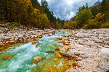 Slovenya, Avrupa 'daki ormanın derinliklerinde güzel sonbahar renkleriyle harika ve hızlı akan bir dere.