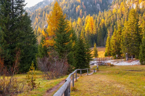 Typowy Piękny Krajobraz Dolomitów Dolina Val Funes Włoszech — Zdjęcie stockowe