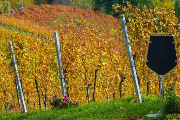 Slavná Vinařská Oblast Krásných Podzimních Barvách Nádherné Vinice Mariboru Blízkosti — Stock fotografie