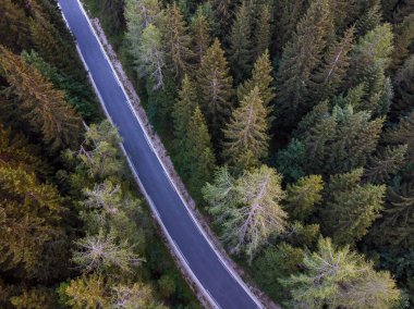 Slovenya 'daki Triglav milli parkındaki Julian Alpleri' nde çam ağaçları arasında dönen orman yolunun hava manzarası