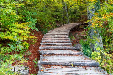 Hırvatistan ve Plitvice ulusal parkının güzel sonbahar renklerine ve muhteşem şelale manzarasına sahip ünlü Plitvice gölleri