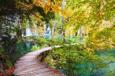 Hırvatistan ve Plitvice ulusal parkının güzel sonbahar renklerine ve muhteşem şelale manzarasına sahip ünlü Plitvice gölleri