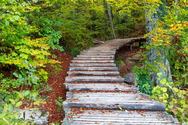 Plitvice国家公园 有着美丽的秋天色彩和美丽的克罗地亚瀑布风景的著名Plitvice湖 — 图库照片