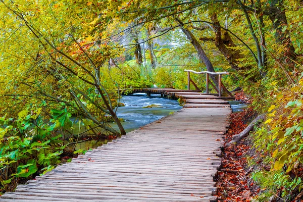 Famosos Lagos Plitvice Con Hermosos Colores Otoñales Magníficas Vistas Las — Foto de Stock