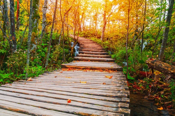 Slavná Plitvická Jezera Krásnými Podzimními Barvami Nádherným Výhledem Vodopády Chorvatsku — Stock fotografie
