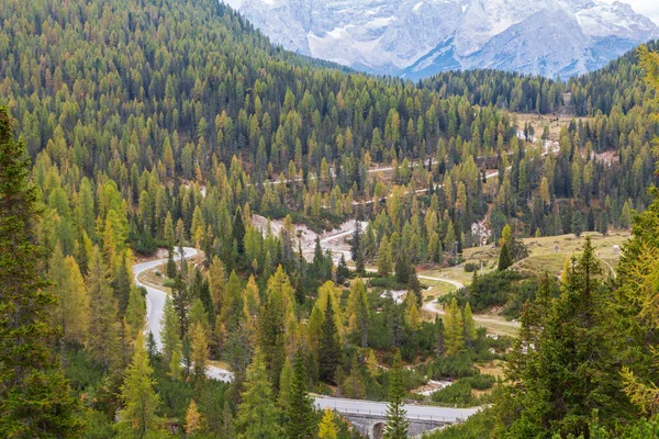 Bochtige Bosbergweg Dolomieten Bij Drei Zinnen Tre Cime Lavaredo Bergen — Stockfoto