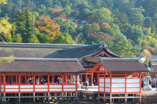 Turista para ver torii flutuante portão de Santuário de Itsukushima e ver folhas de ginkgo na ilha de Miyajima Hiroshima — Fotografia de Stock
