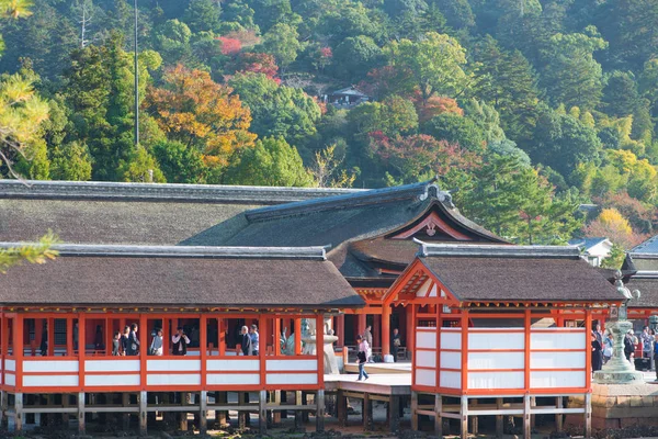 Touriste pour voir la porte torii flottante du sanctuaire Itsukushima et voir les feuilles de ginkgo à l'île de Miyajima Hiroshima — Photo