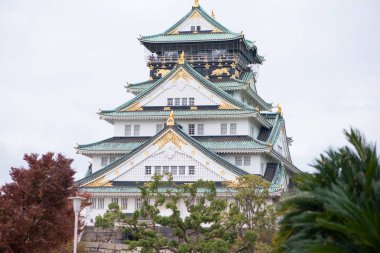 Japonya 'nın Osaka şehrinde sonbahar mevsiminde Osaka Kalesi