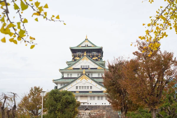 Japonya 'nın Osaka şehrinde sonbahar mevsiminde Osaka Kalesi