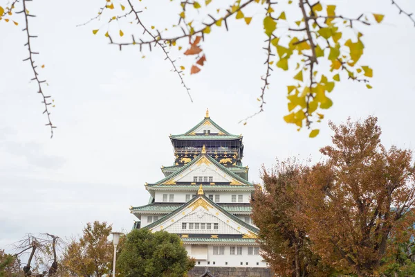 Japonya 'nın Osaka şehrinde sonbahar mevsiminde Osaka Kalesi