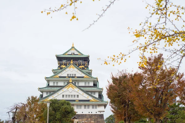 Japonya 'nın Osaka şehrinde sonbahar mevsiminde Osaka Kalesi