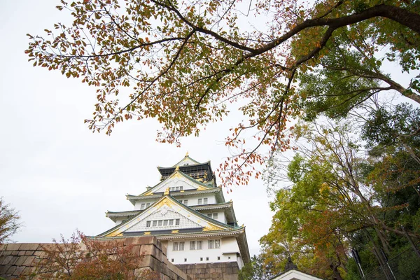 Осакский замок осенью в Осаке, Япония — стоковое фото